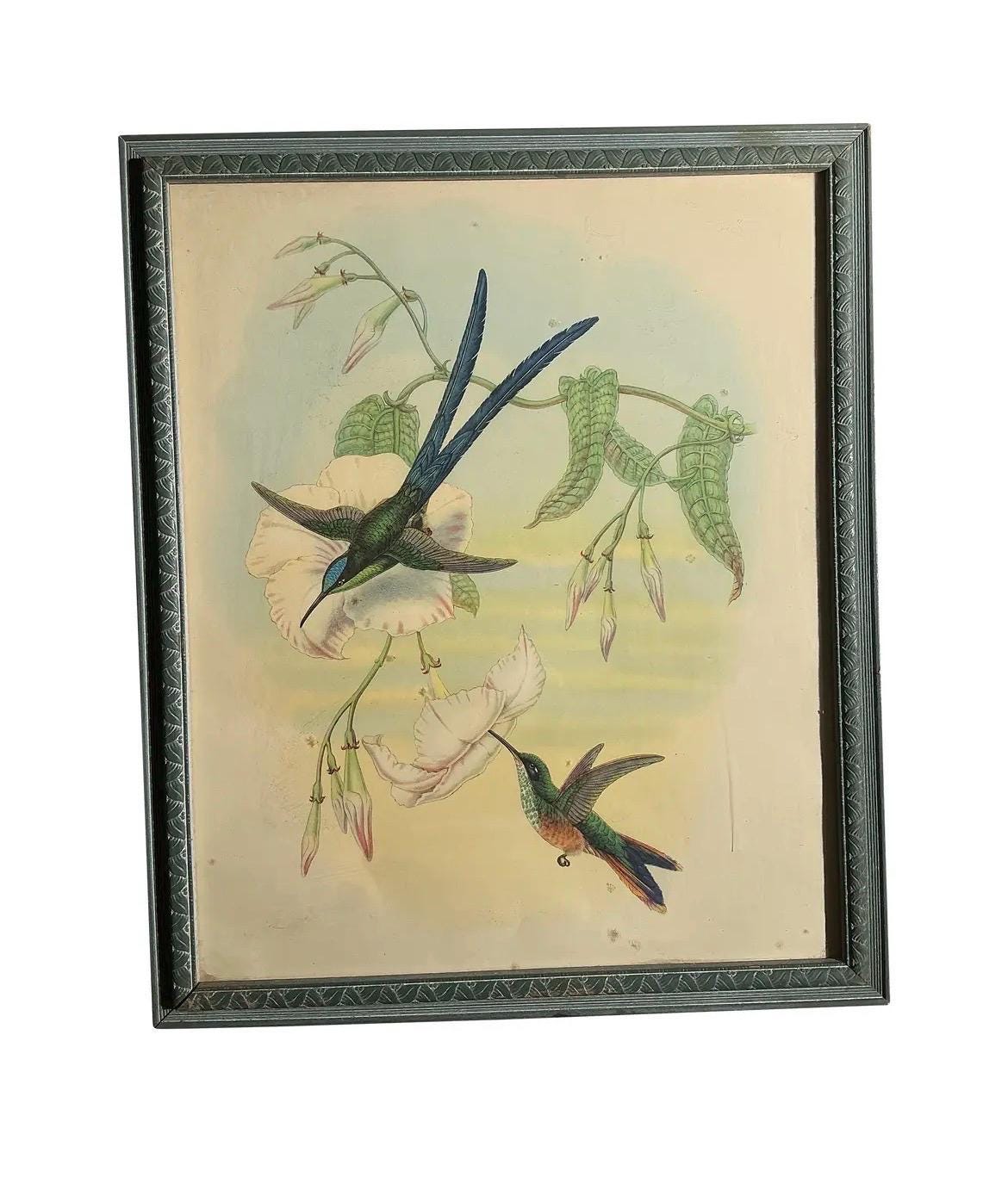 Vintage Hummingbird Print in Original Frame | Botanical Bird Wall Art | French Country Decor
