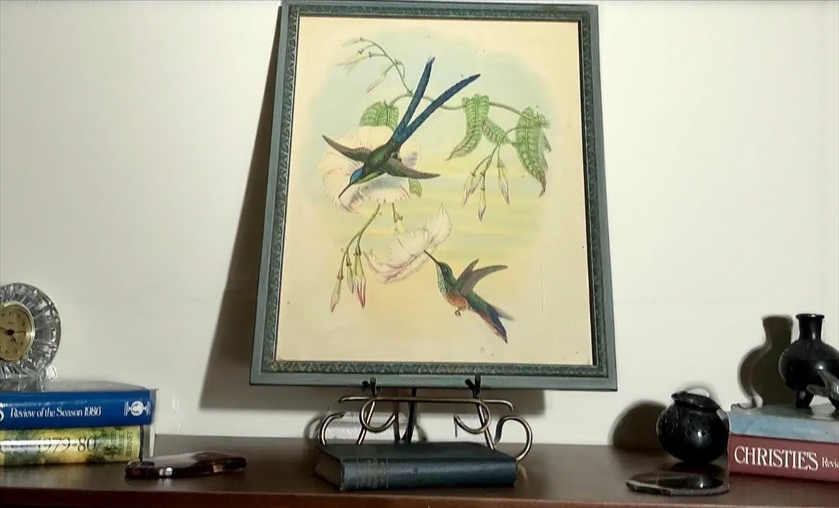 Vintage Hummingbird Print in Original Frame | Botanical Bird Wall Art | French Country Decor