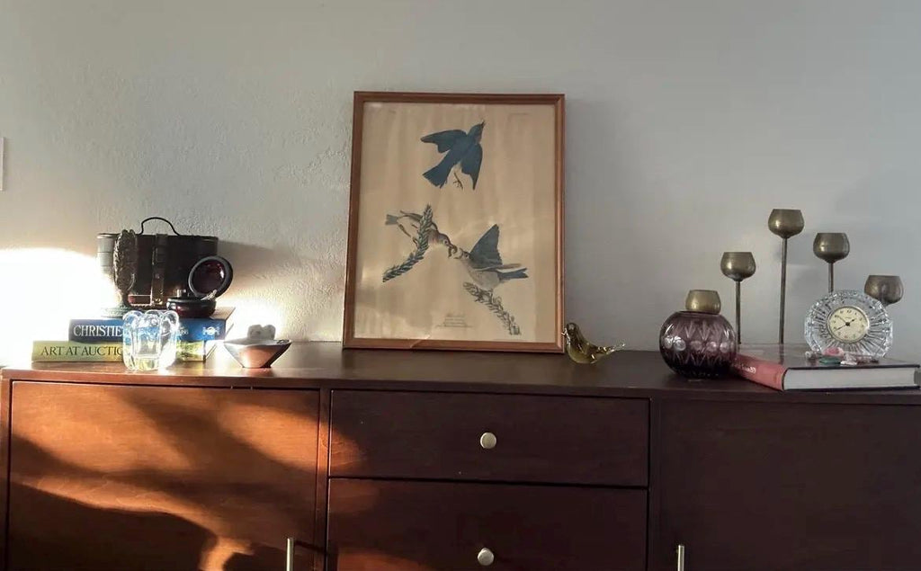 Vintage Audubon Bluebird Print | Sylvia Sialis Ornithology Wall Art