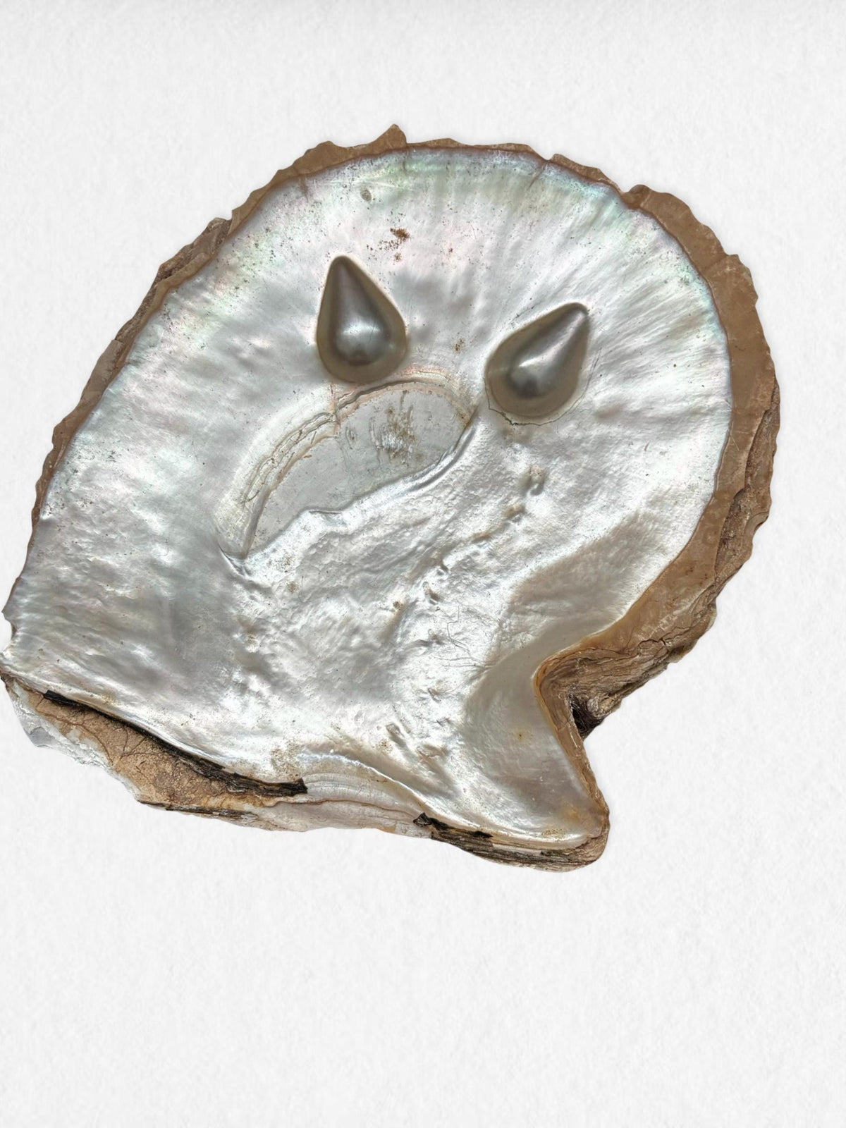 Vintage Oyster Shell Dish with Blister Pearls | Natural Coastal Art Object