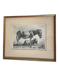 Jean-Jacques de Boissieu 1797 Jenny With Its Foal Antique French Engraving